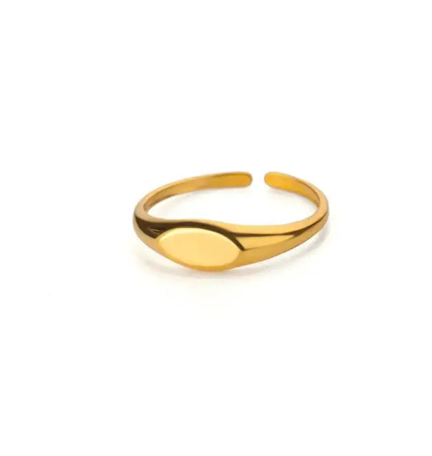 ELLA - Roestrij stalen goudkleurige ring - aanpasbaar - verschillende modellen